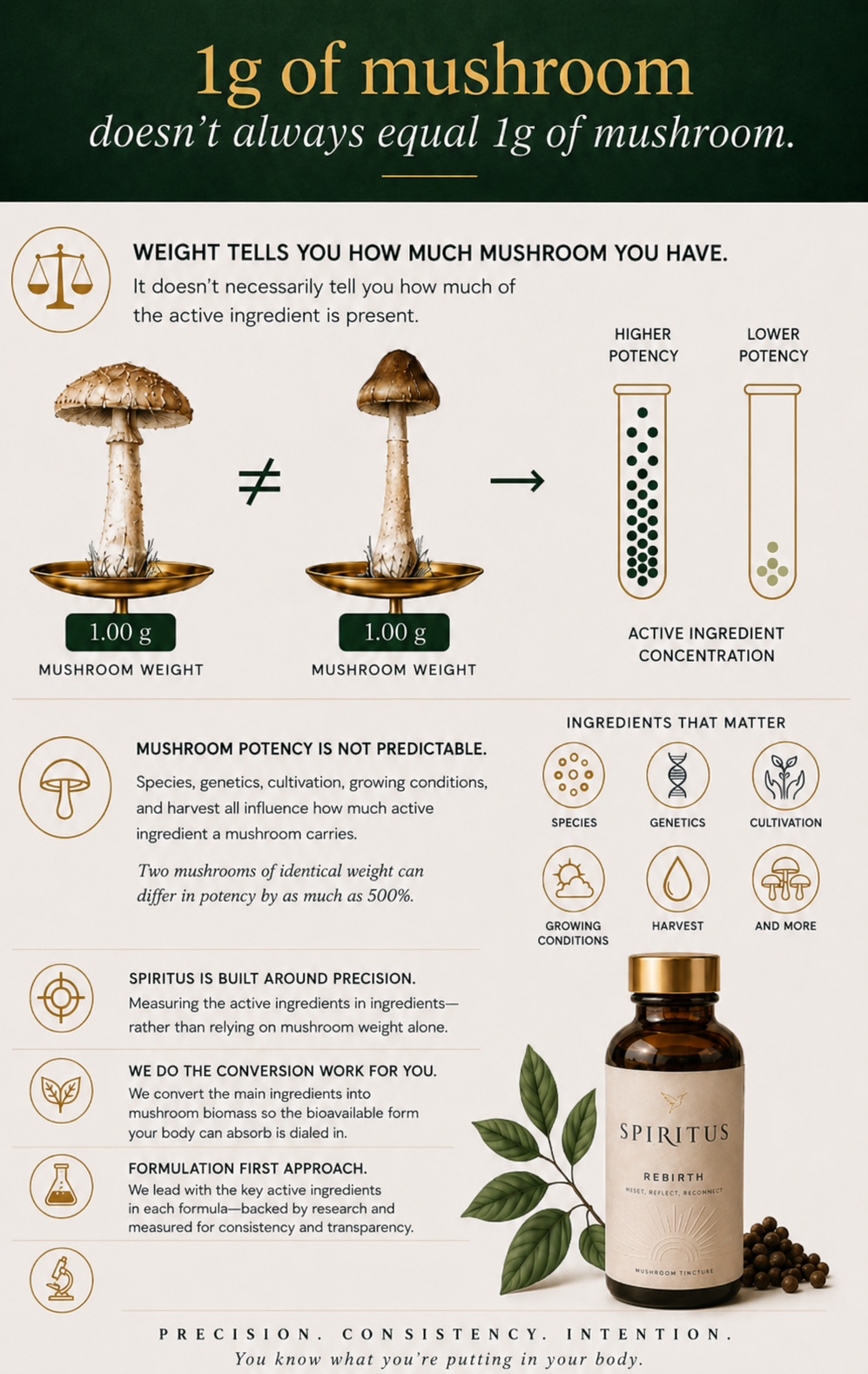 1g of mushroom doesn't always equal 1g of mushroom — precision formulation infographic